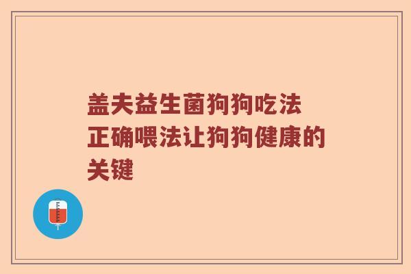 盖夫益生菌狗狗吃法 正确喂法让狗狗健康的关键