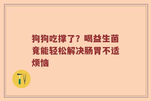 狗狗吃撑了？喝益生菌竟能轻松解决肠胃不适烦恼