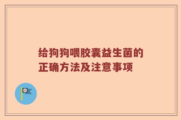 给狗狗喂胶囊益生菌的正确方法及注意事项