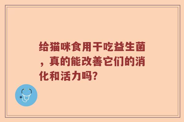 给猫咪食用干吃益生菌，真的能改善它们的消化和活力吗？