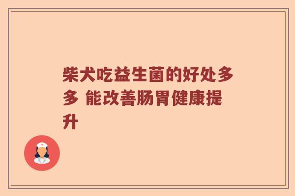 柴犬吃益生菌的好处多多 能改善肠胃健康提升