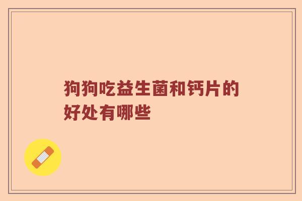 狗狗吃益生菌和钙片的好处有哪些