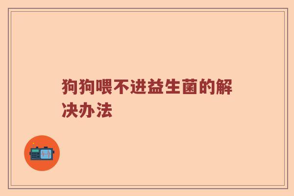 狗狗喂不进益生菌的解决办法
