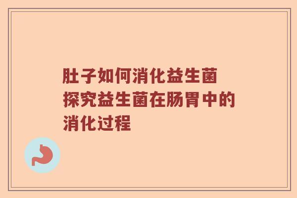 肚子如何消化益生菌 探究益生菌在肠胃中的消化过程