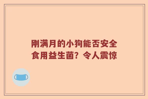 刚满月的小狗能否安全食用益生菌？令人震惊