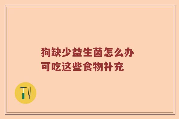 狗缺少益生菌怎么办 可吃这些食物补充