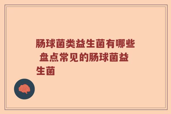 肠球菌类益生菌有哪些 盘点常见的肠球菌益生菌