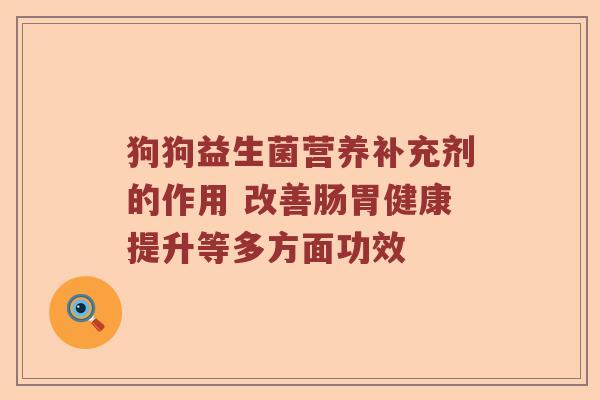 狗狗益生菌营养补充剂的作用 改善肠胃健康提升等多方面功效