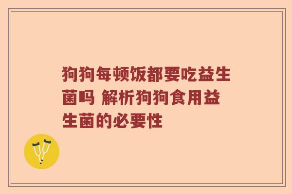 狗狗每顿饭都要吃益生菌吗 解析狗狗食用益生菌的必要性