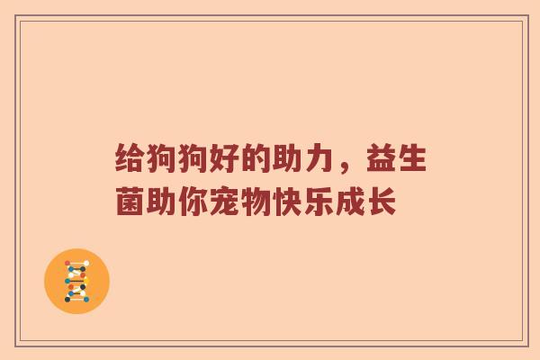 给狗狗好的助力，益生菌助你宠物快乐成长