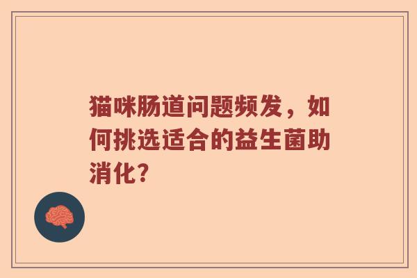 猫咪肠道问题频发，如何挑选适合的益生菌助消化？
