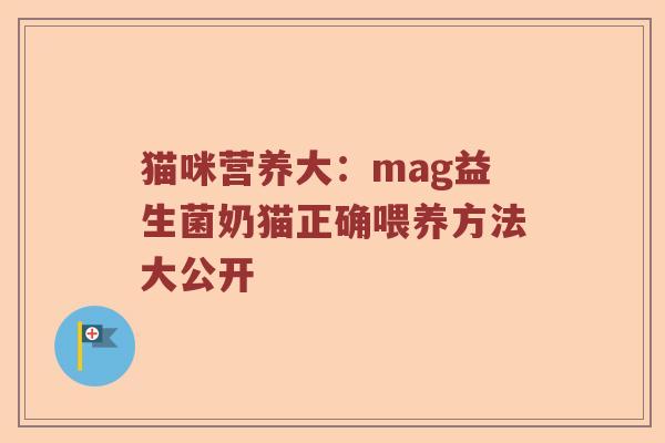 猫咪营养大：mag益生菌奶猫正确喂养方法大公开