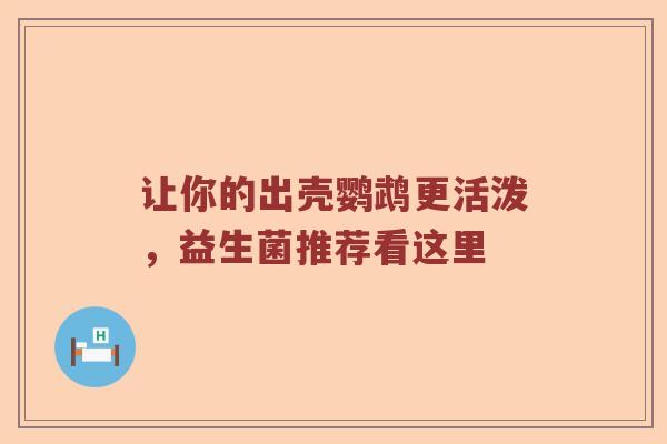 让你的出壳鹦鹉更活泼，益生菌推荐看这里