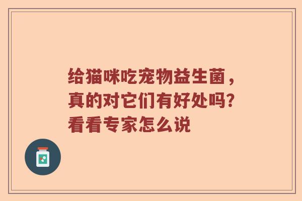给猫咪吃宠物益生菌，真的对它们有好处吗？看看专家怎么说