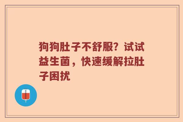 狗狗肚子不舒服？试试益生菌，快速缓解拉肚子困扰