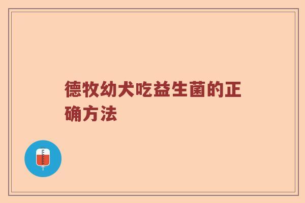 德牧幼犬吃益生菌的正确方法