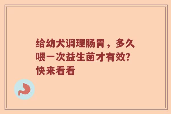 给幼犬调理肠胃，多久喂一次益生菌才有效？快来看看