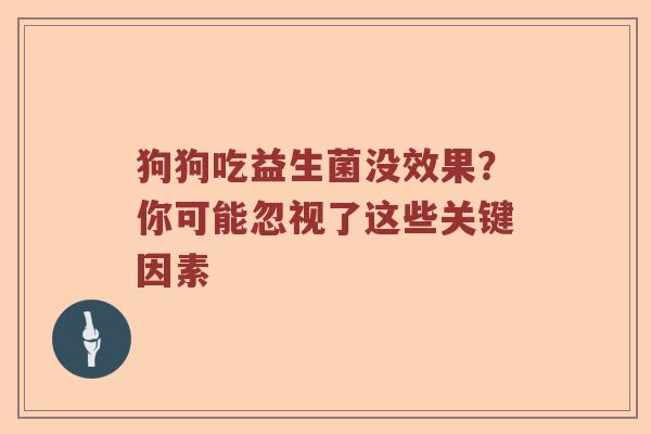 狗狗吃益生菌没效果？你可能忽视了这些关键因素