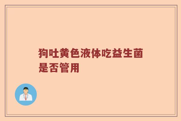 狗吐黄色液体吃益生菌是否管用