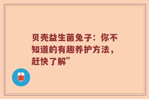 贝壳益生菌兔子：你不知道的有趣养护方法，赶快了解”