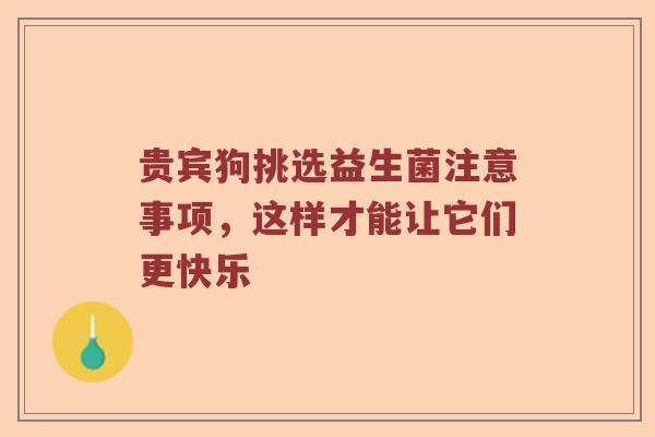 贵宾狗挑选益生菌注意事项，这样才能让它们更快乐