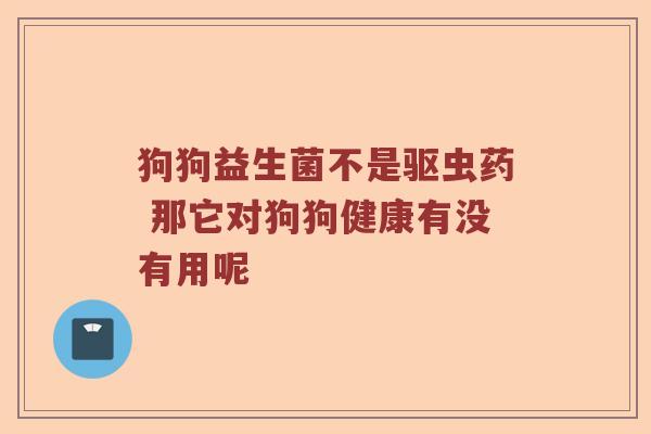 狗狗益生菌不是驱虫药 那它对狗狗健康有没有用呢