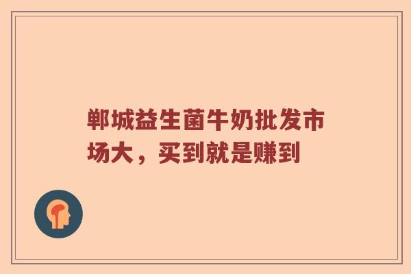 郸城益生菌牛奶批发市场大，买到就是赚到
