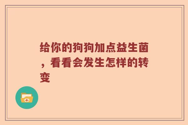 给你的狗狗加点益生菌，看看会发生怎样的转变