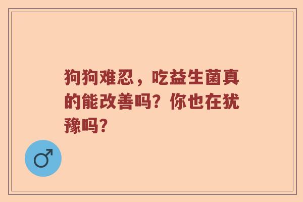狗狗难忍，吃益生菌真的能改善吗？你也在犹豫吗？