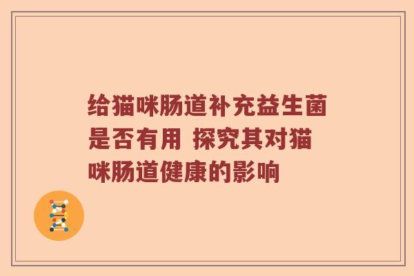 给猫咪肠道补充益生菌是否有用 探究其对猫咪肠道健康的影响