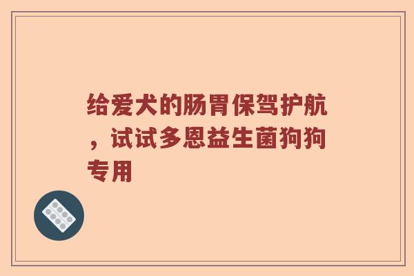 给爱犬的肠胃保驾护航，试试多恩益生菌狗狗专用