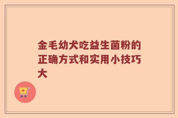 金毛幼犬吃益生菌粉的正确方式和实用小技巧大