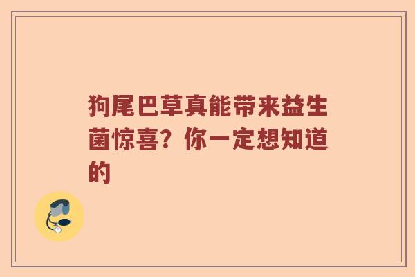 狗尾巴草真能带来益生菌惊喜？你一定想知道的